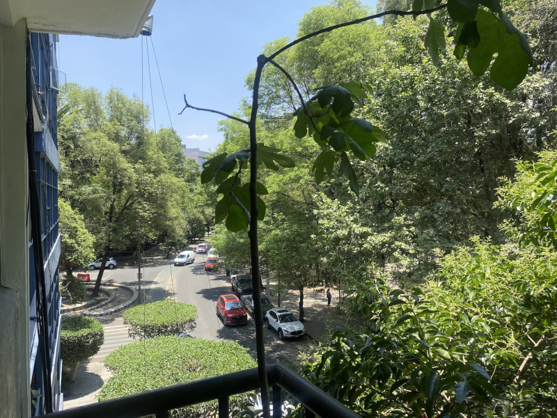 DEPARTAMENTO RENTA EN LA CONDESA 