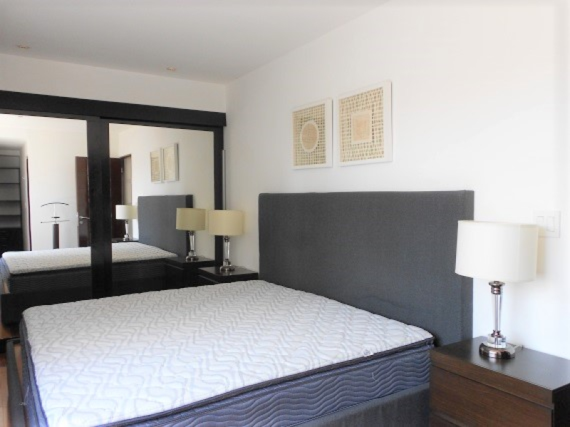 Departamento Amueblado En Renta Polanco Horizontes Moliere