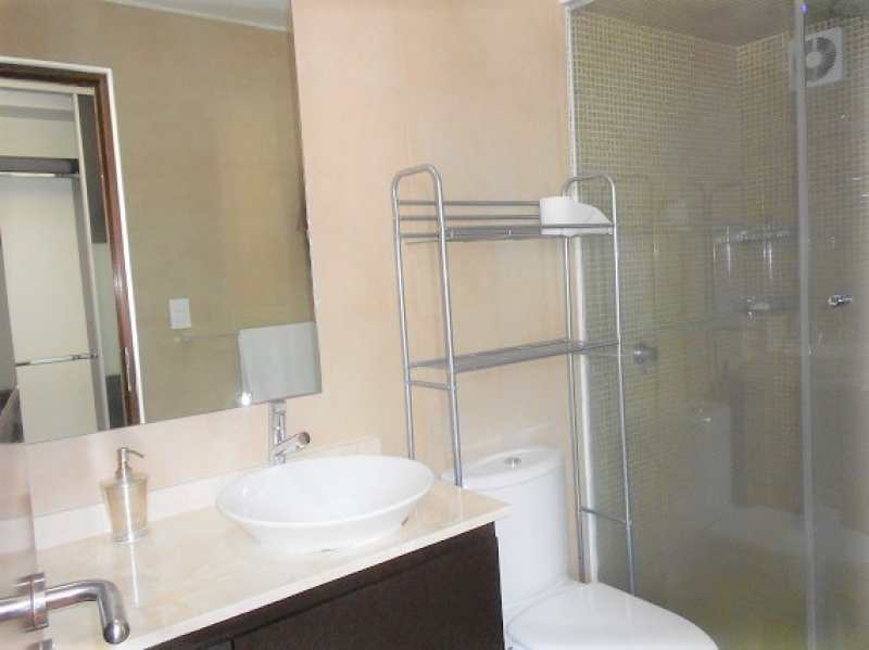 Departamento Amueblado En Renta Polanco Horizontes Moliere