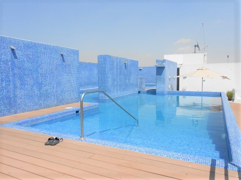 Departamento Amueblado en Renta Polanco Horizontes Moliere