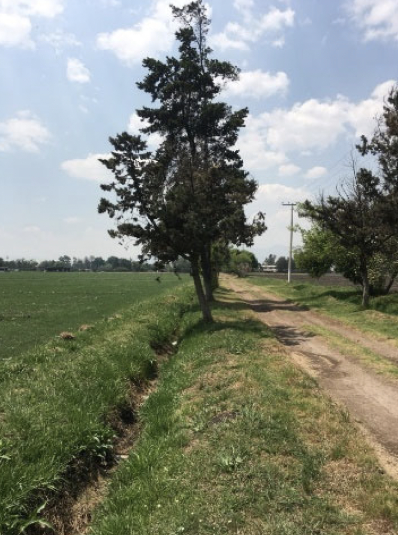 Terreno En Venta En Teoloyucan