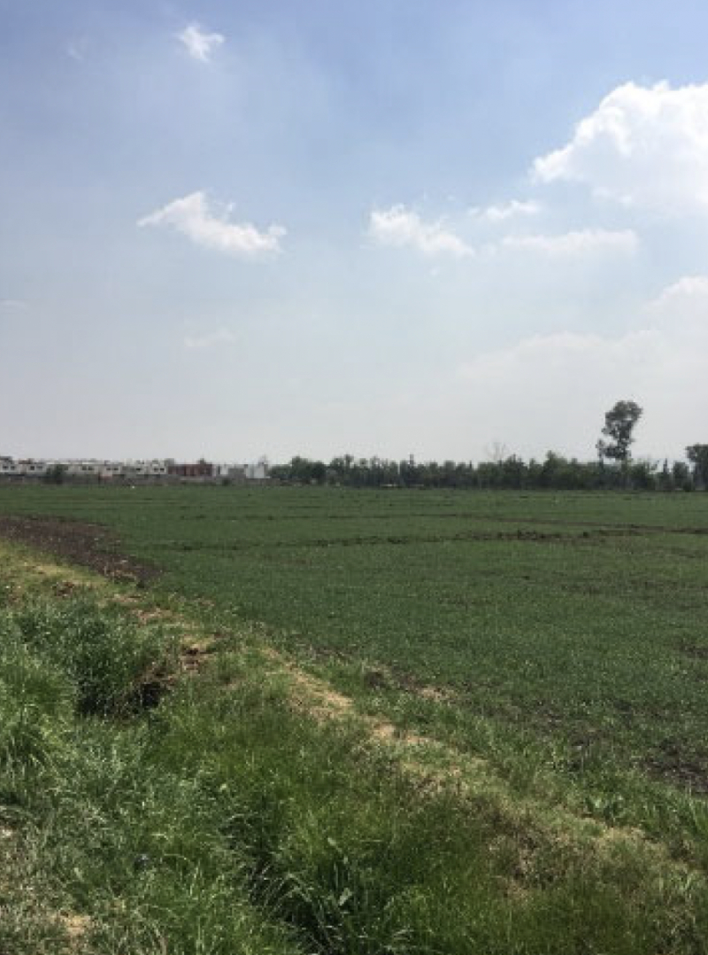 Terreno En Venta En Teoloyucan