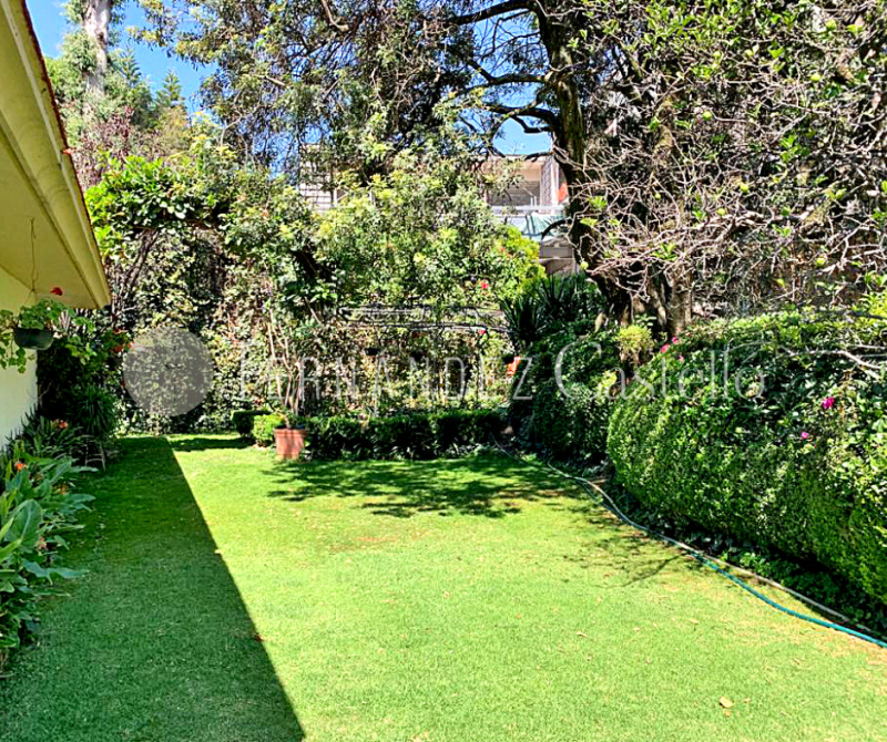 CASA EN RENTA EN LOMAS HIPODROMO