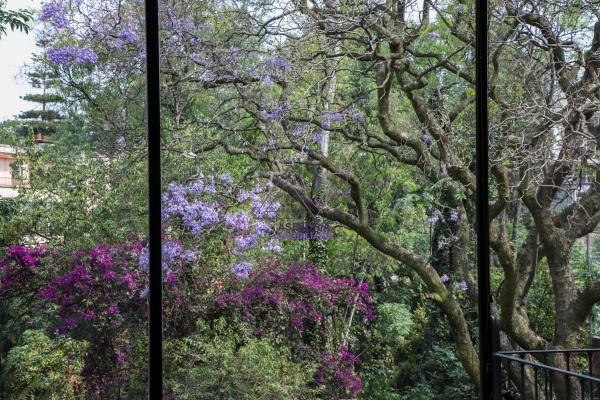 Departamento  amueblado en renta en Lomas de Chapultepec