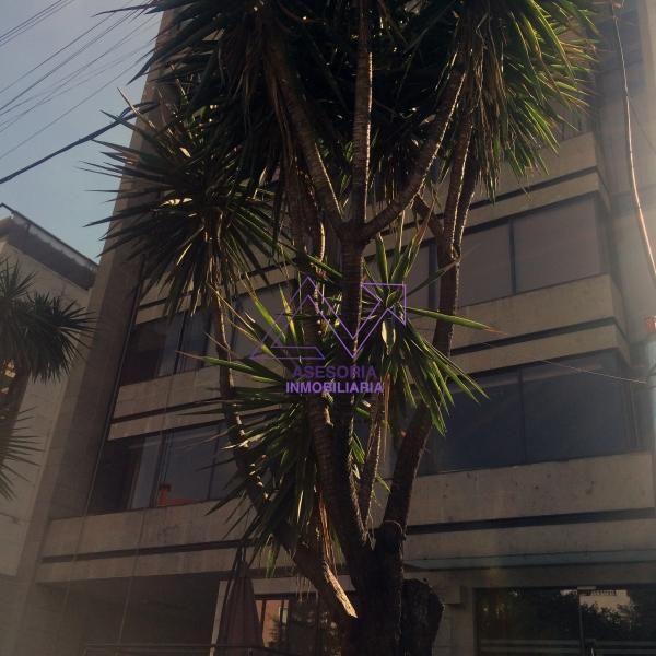 Oficina en renta en Polanco