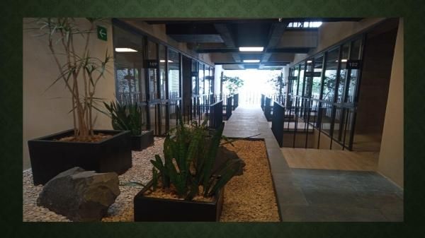 Oficinas en renta CuauhtÃ©moc