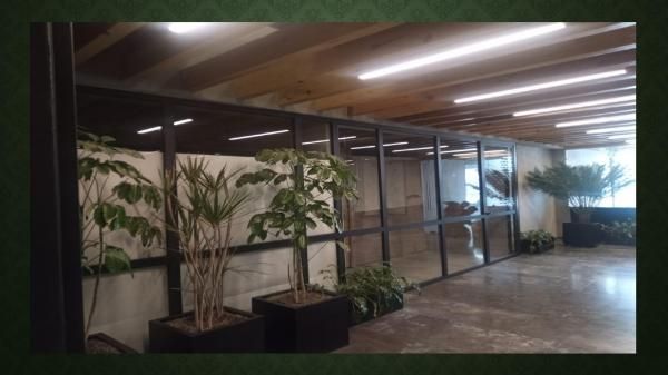 Oficinas En Renta Cuauhtémoc