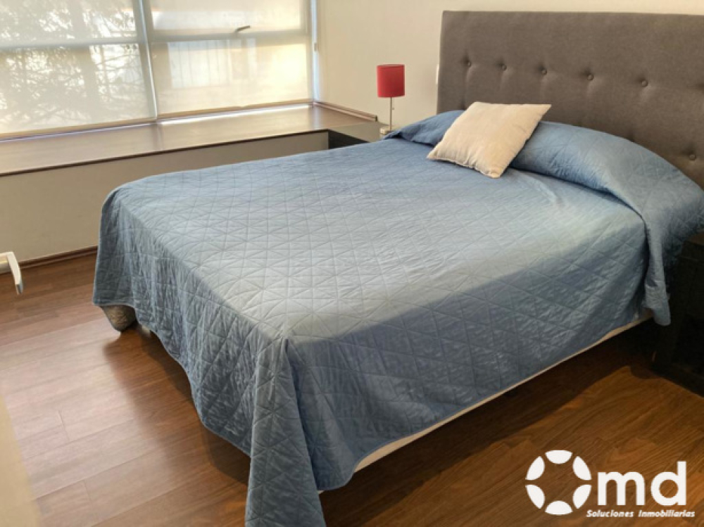 Renta Departamento  Amueblado En Colonia Roma