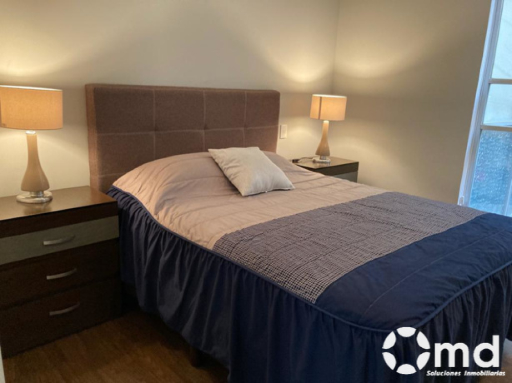 Renta Departamento  Amueblado En Colonia Roma