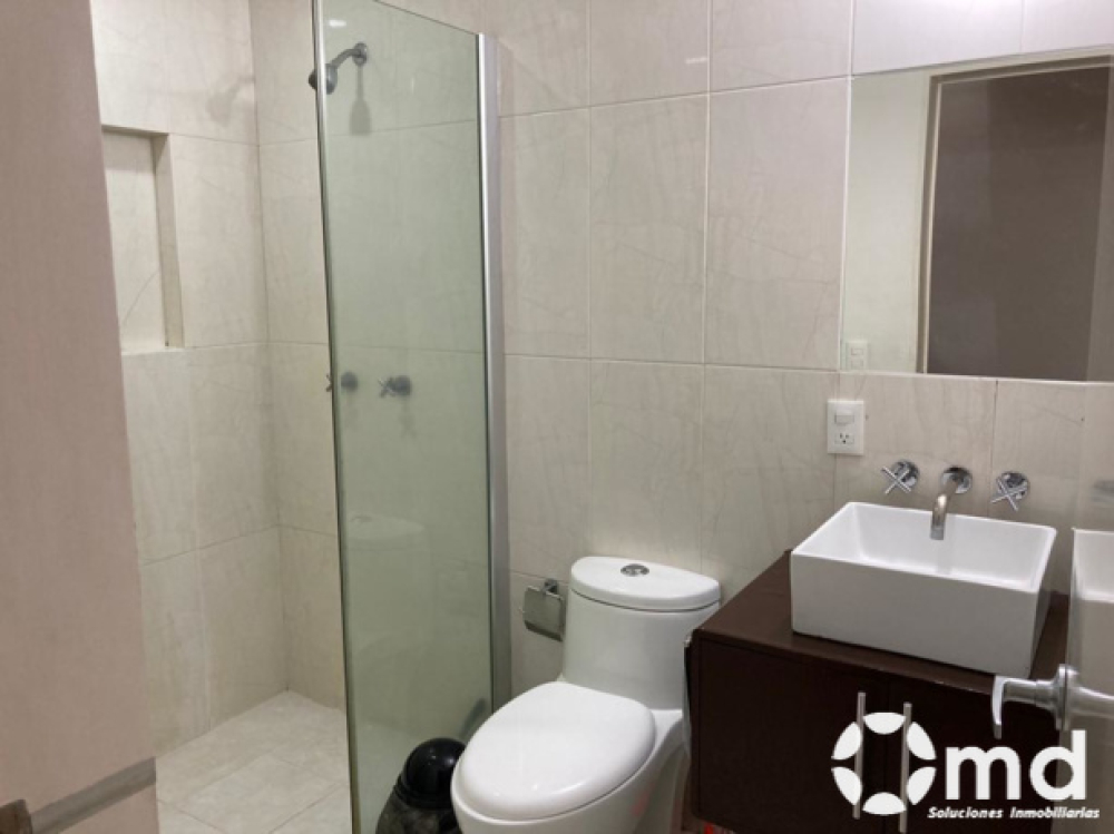 Renta Departamento  Amueblado En Colonia Roma