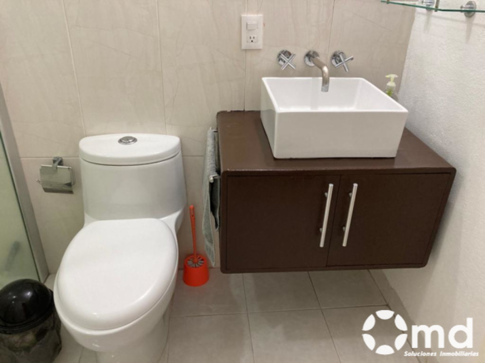 Renta Departamento  Amueblado En Colonia Roma