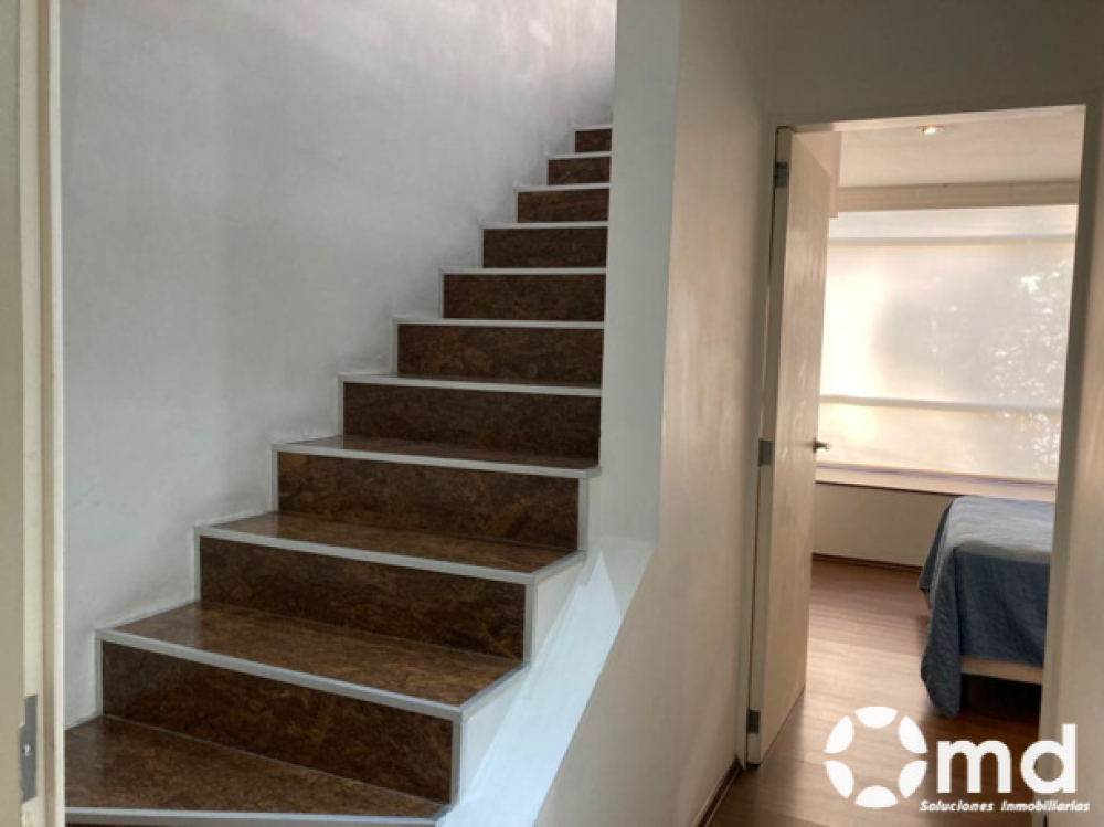 Renta Departamento  Amueblado En Colonia Roma