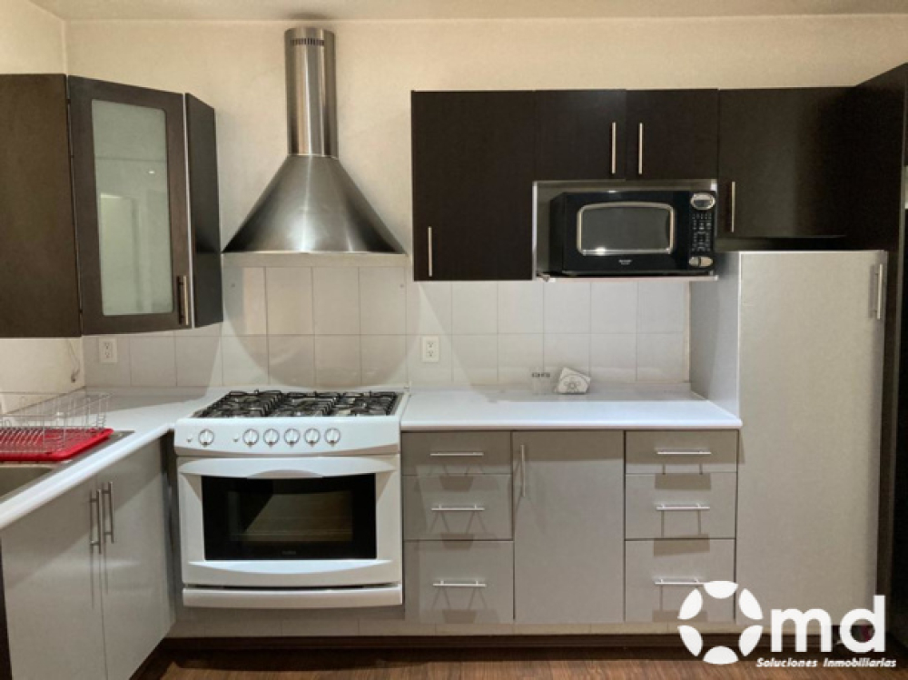 Renta Departamento  Amueblado En Colonia Roma