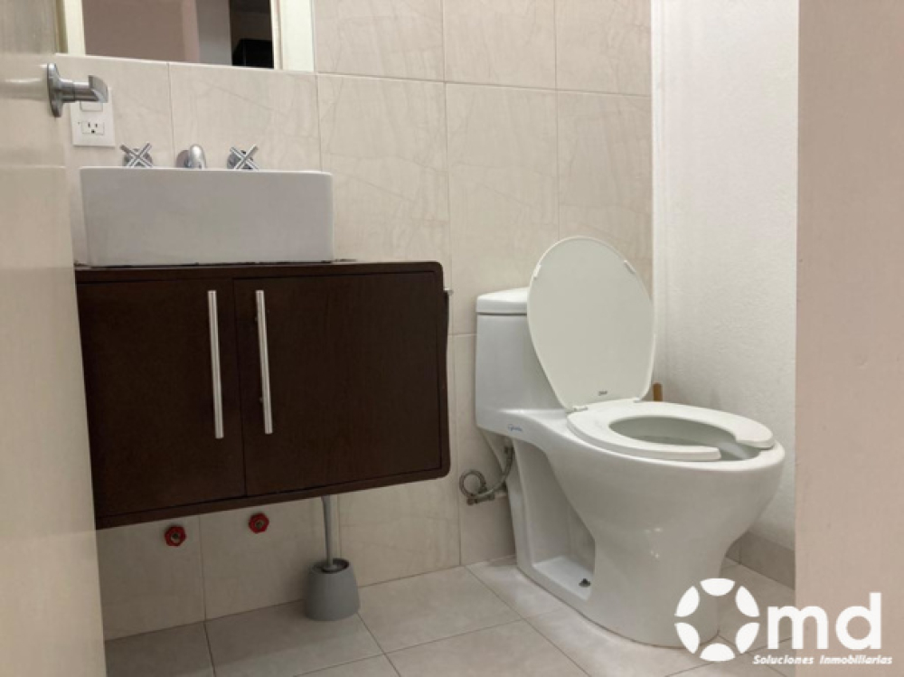 Renta Departamento  Amueblado En Colonia Roma