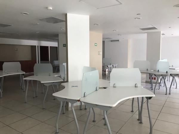 Oficina Renta Homero 722 m2 