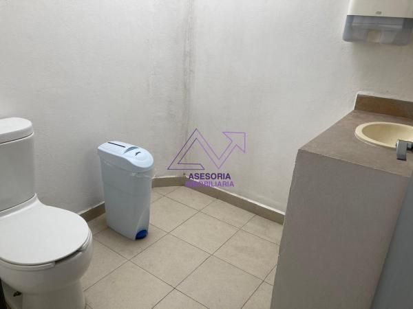 Oficina En Renta En Las Águilas