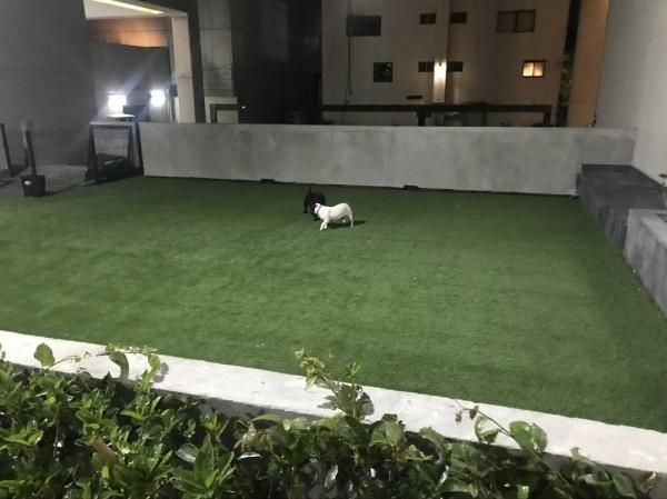 Departamento En Venta We Santa Fe 