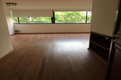 renta en campos elíseos polanco