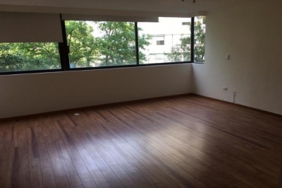 renta en campos elíseos polanco