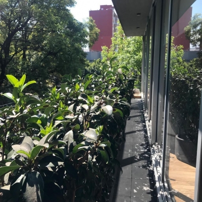 Departamento Condesa