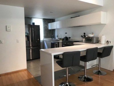 Departamento Condesa