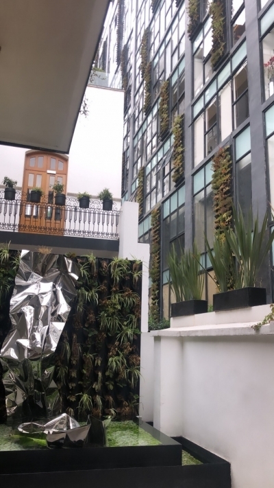 espectacular garden house casa roma