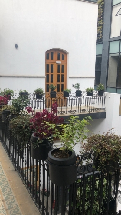 espectacular garden house casa roma