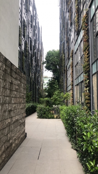 espectacular garden house casa roma