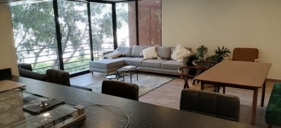 penthouse en venta con roof garden en del valle