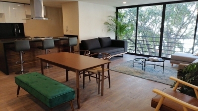 penthouse en venta con roof garden en del valle