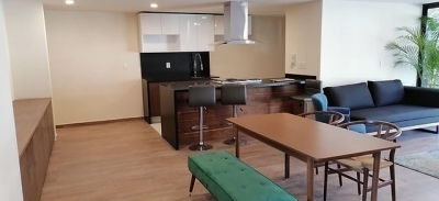 penthouse en venta con roof garden en del valle