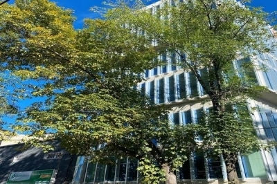 Edificio nuevo en venta