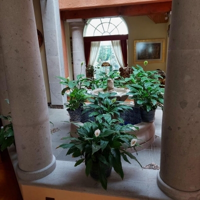 Casa amueblada de lujo en renta en Bosques de las Lomas 
