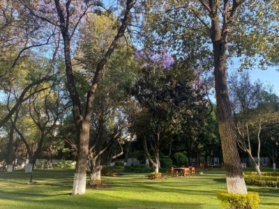 vendo departamento de lujo en lomas de chapultepec, magnifica oportunidad