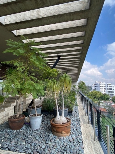 departamento de lujo en venta en lomas altas