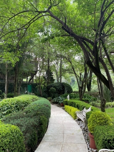 departamento en venta en lomas de chapultepec