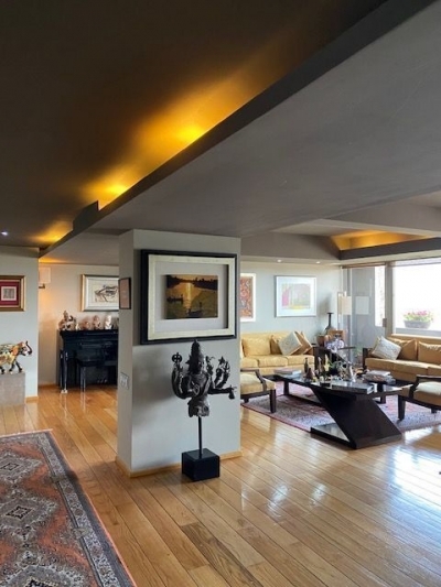 departamento en venta en lomas de chapultepec
