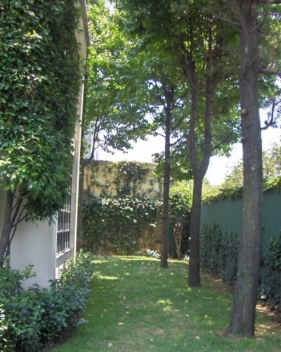 Hermosa casa en Lomas de Virreyes en Renta