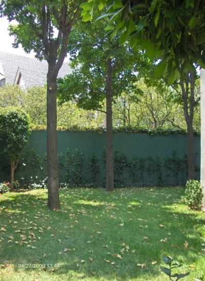Hermosa casa en Lomas de Virreyes en Renta