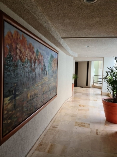departamento en venta en lomas chapultepec