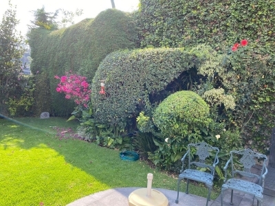 Casa de lujo en renta y venta en Lomas de Chapultepec