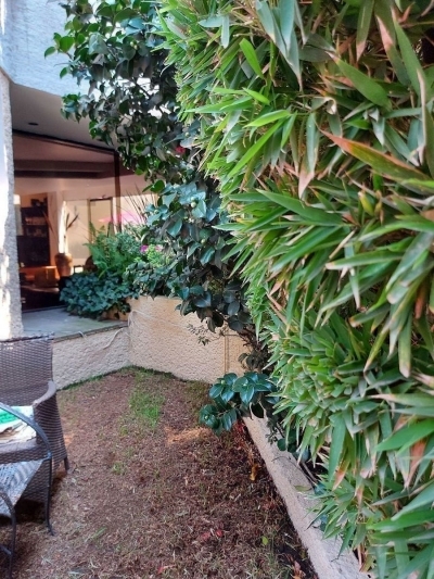 casa para remodelar en lomas de chapultepec