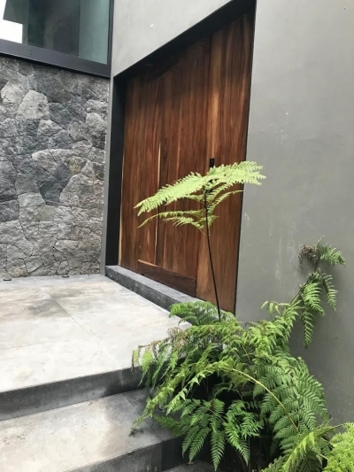 casa en virreyes
