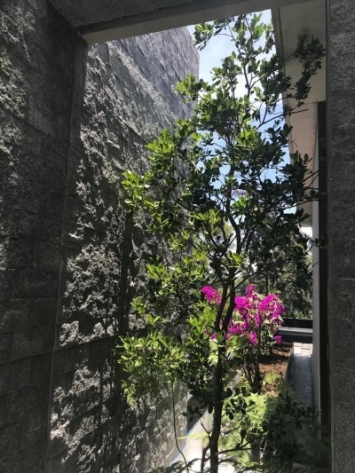 casa en virreyes