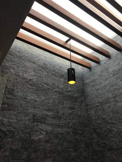 casa en virreyes