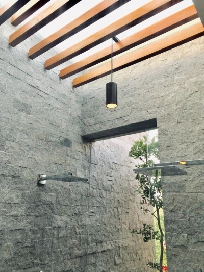casa en virreyes