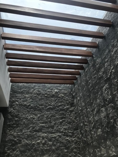 casa en virreyes