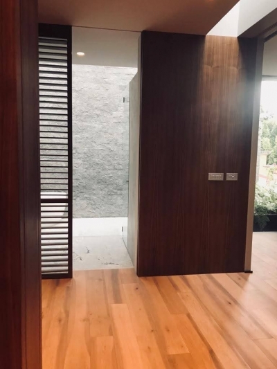 casa en virreyes