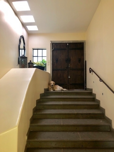 Linda casa en Lomas de Chapultepec