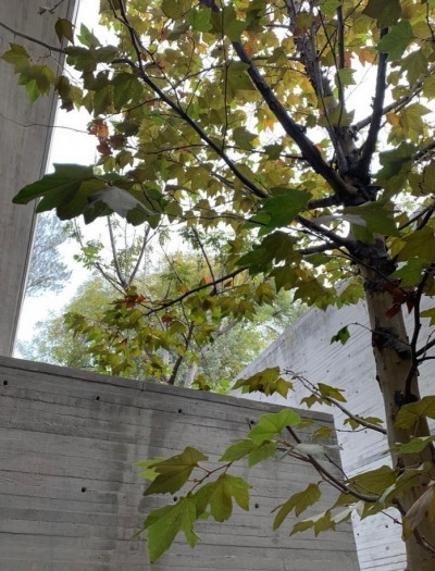 Espectacular casa en Virreyes